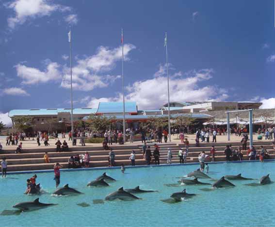 国立水族馆  堪培拉旅游景点