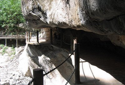 太平森林公园一日游